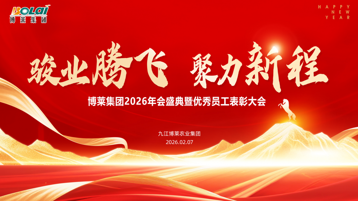江西博莱集团2025年度总结表彰暨2026新春年会圆满举行