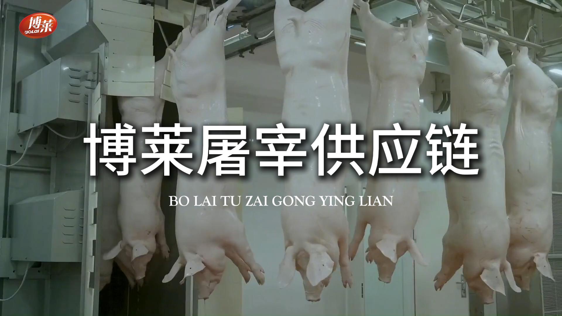 博莱屠宰供应链