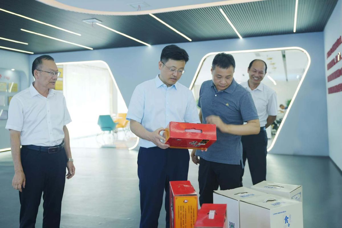 柴桑区领导考察产业园4